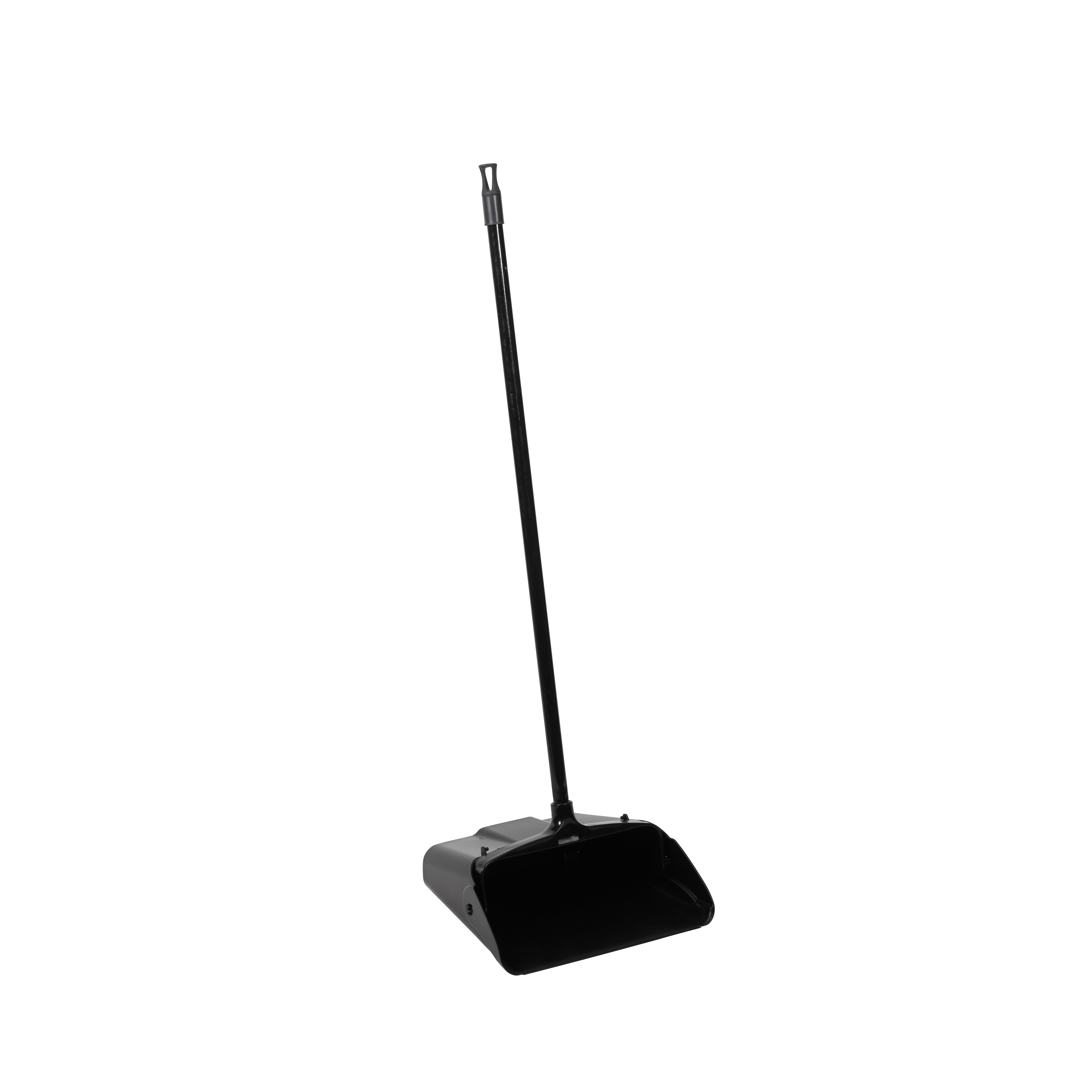 BOLD DUSTPAN & BROOM