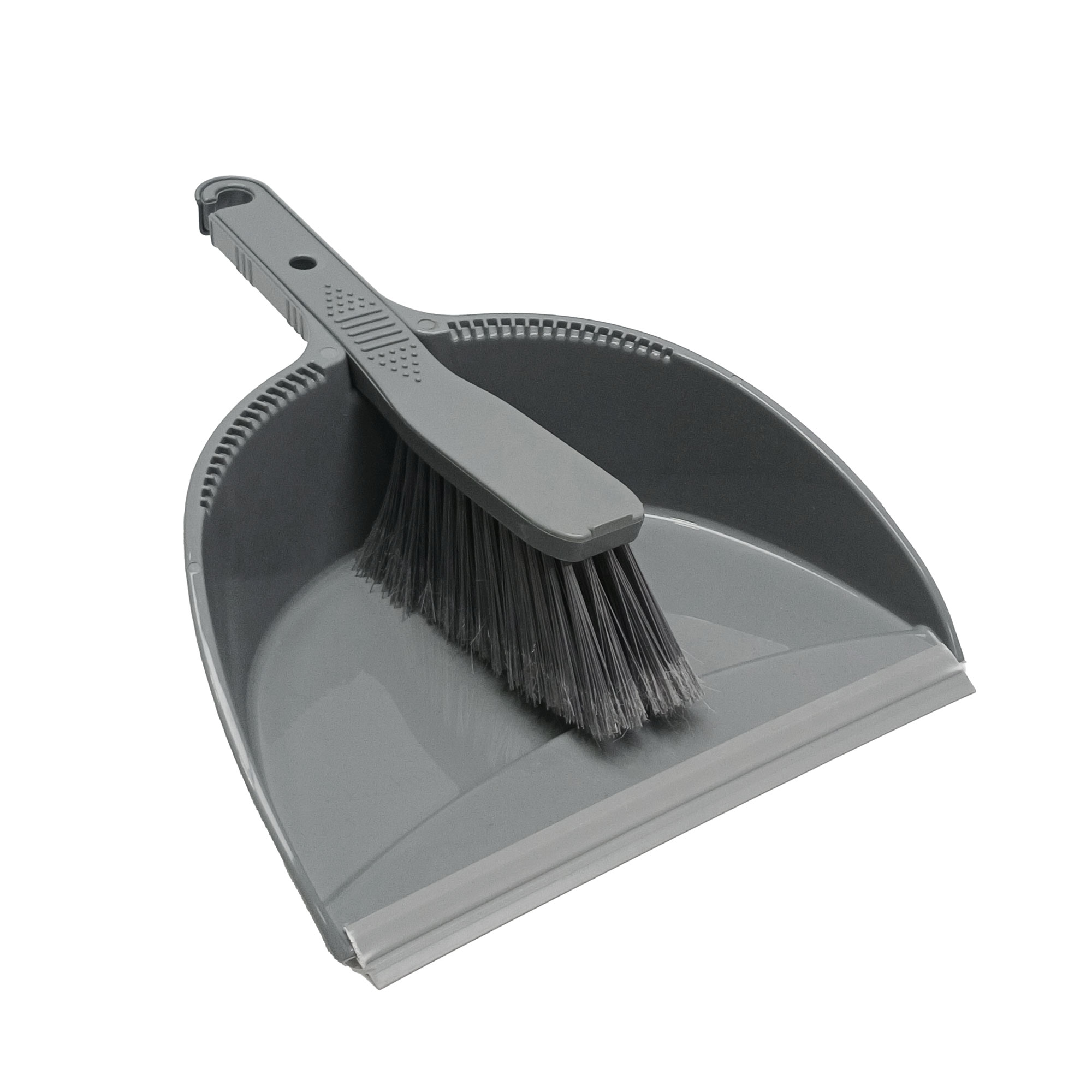 MİKİ BROSSE À MAIN PELLE À POUSSIÈRE
